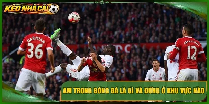 AM trong bóng đá là gì và đứng ở khu vực nào