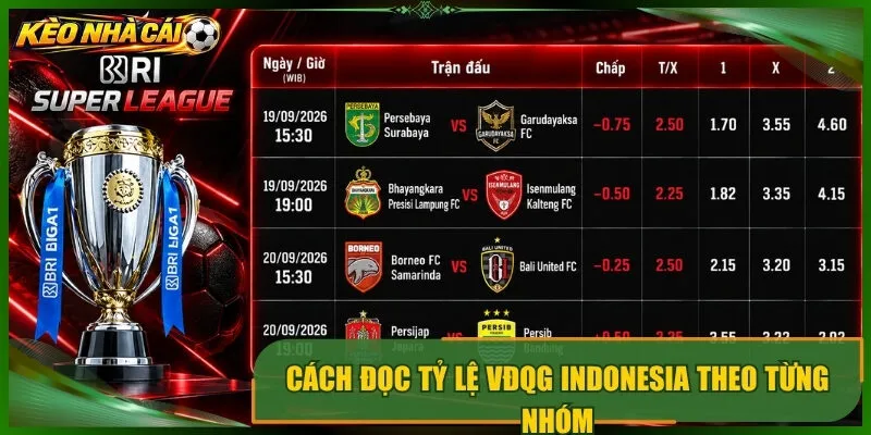 Cách đọc tỷ lệ vđqg indonesia theo từng nhóm