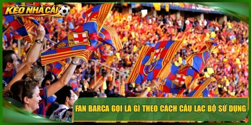 Fan Barca gọi là gì theo cách câu lạc bộ sử dụng với người hâm mộ?