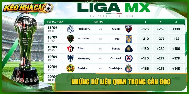 Những dữ liệu quan trọng cần đọc