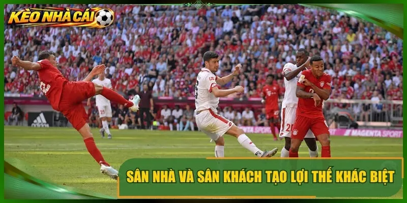 Sân nhà và sân khách tạo lợi thế khác biệt