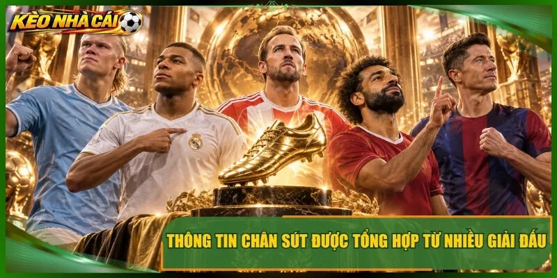 Thông tin chân sút được tổng hợp từ nhiều giải đấu