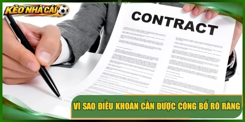 Vì sao điều khoản cần được công bố rõ ràng cho người dùng